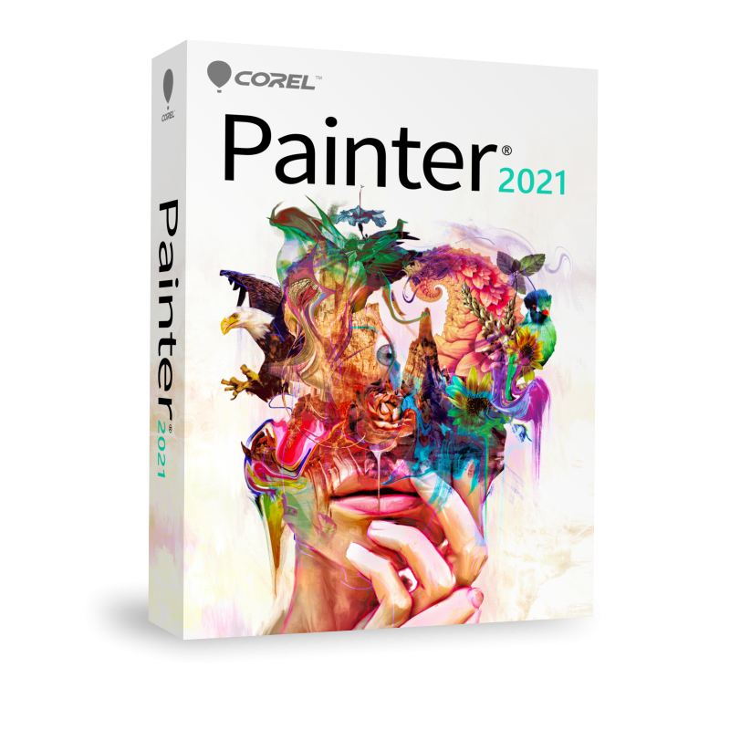 Painter 2021 Classroom 15+1