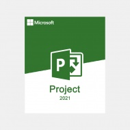 Project Professional 2021